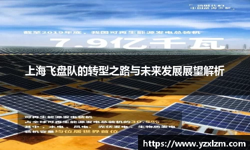 上海飞盘队的转型之路与未来发展展望解析